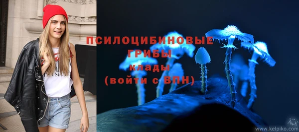 амф Алзамай