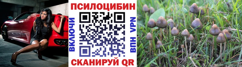 Псилоцибиновые грибы Magic Shrooms  купить   Арамиль 